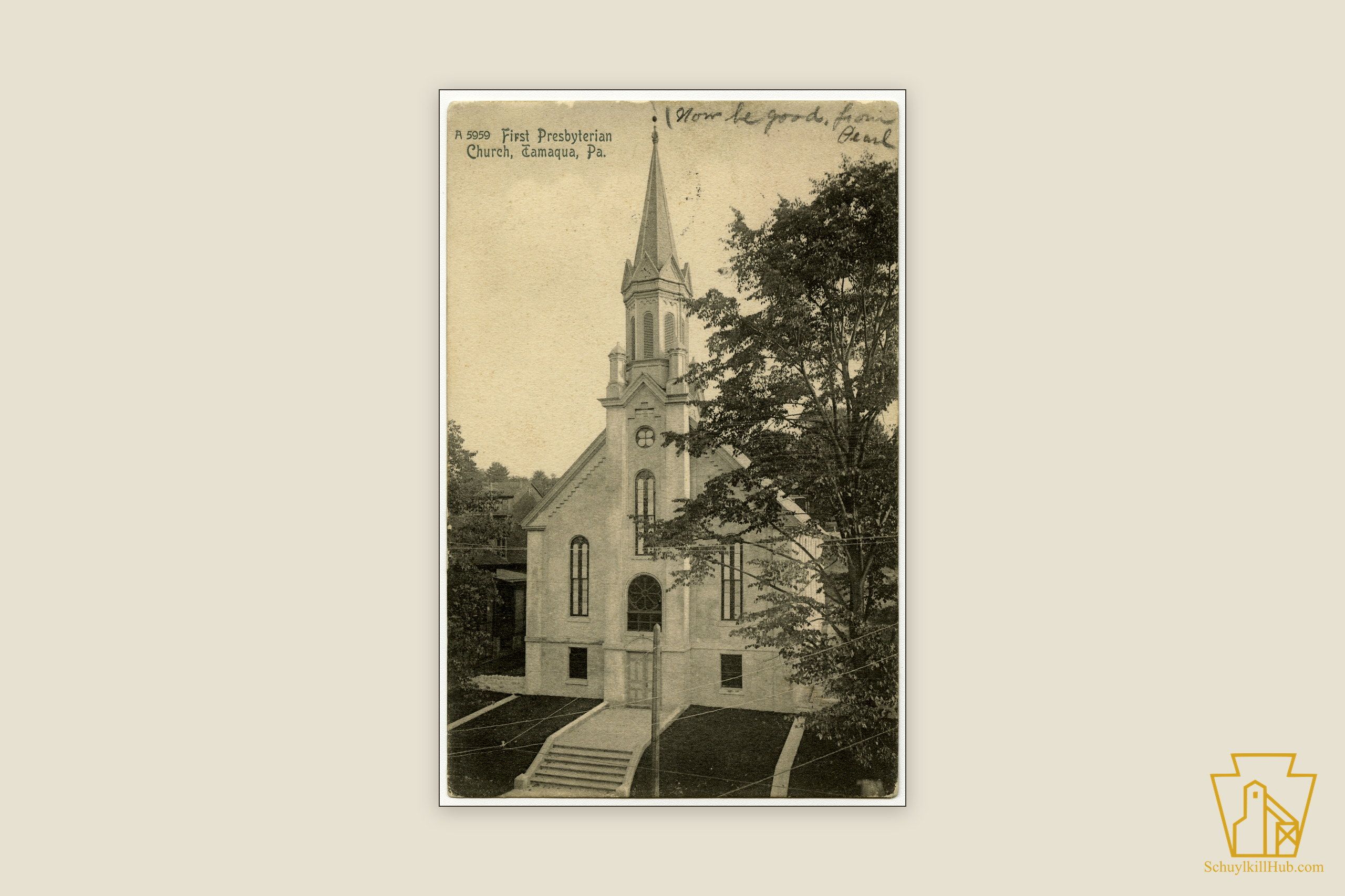 Sepia photographic postcard of the Gothic Revival First Presbyterian Church at Tamaqua, its tall clock spire above the trees.