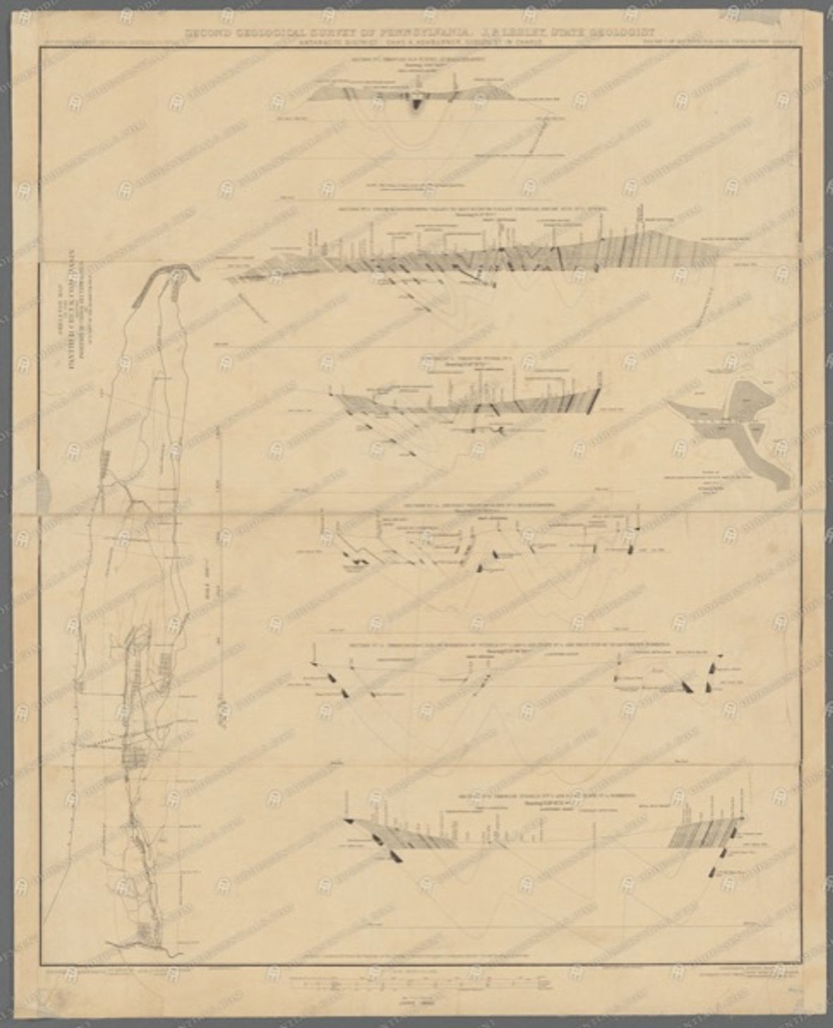 Panther Creek Basin Cross-Section (Second Geological Survey) (1884)