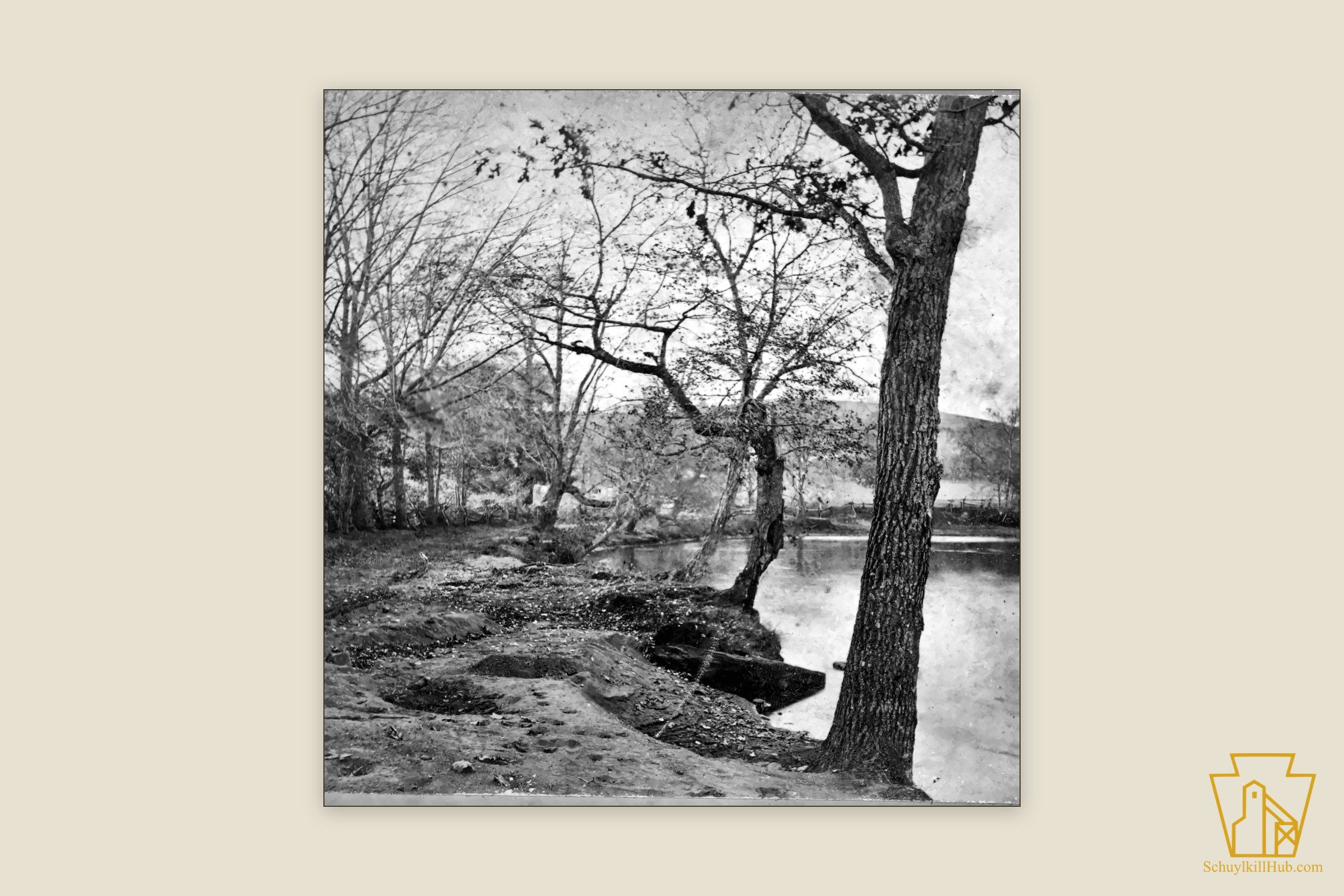 A wooded stream bank in Schuylkill County — a frame from an 1868 stereograph.