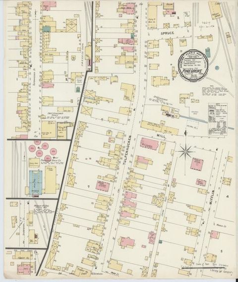 Sanborn Map — Pine Grove, 1896 (1896)